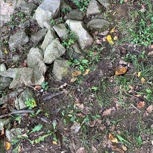 Meet your Posher, Lynn